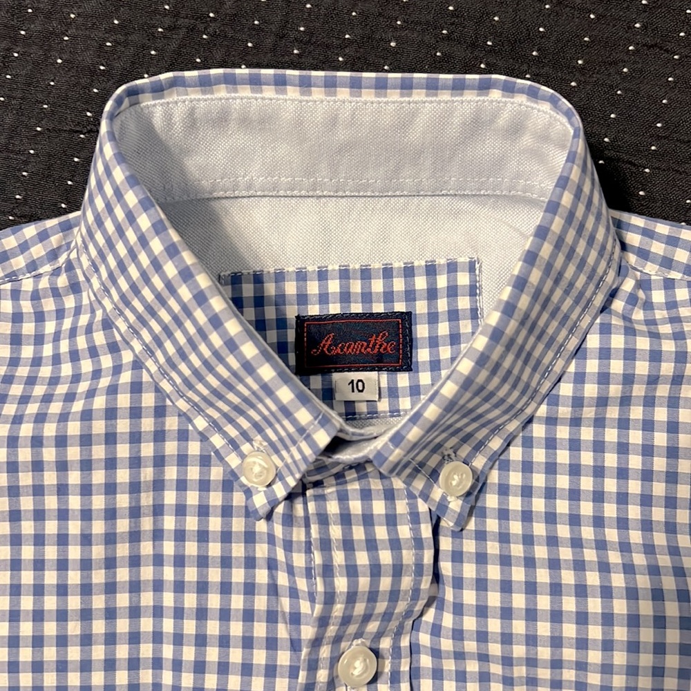 EUC Acanthe blue gingham button up shirt